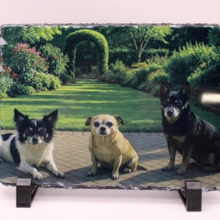 Bestel nu deze mooie rechthoekige leisteen, maak de leisteen persoonlijk met een dierbare foto of tekst