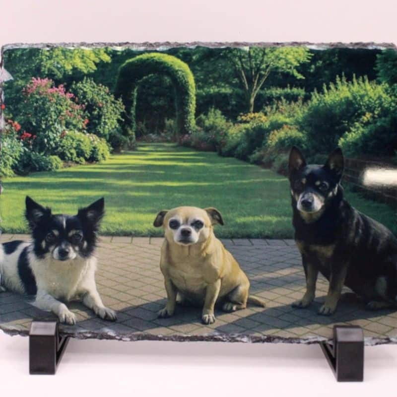 Bestel nu deze mooie rechthoekige leisteen, maak de leisteen persoonlijk met een dierbare foto of tekst