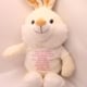Bestel nu dit zachte pluchen konijn met shirtje, het shirtje kun je personaliseren met een tekst naar keuze ( dit is een troostknuffel )