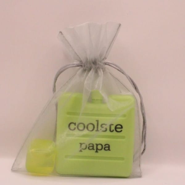 Bestel nu dit leuke koelelement met ijsblokje met de tekst coolste papa, de tekst kun je zelf naar wens aan passen coolste juf of meester, het koelelement en het ijsblokje zijn groen