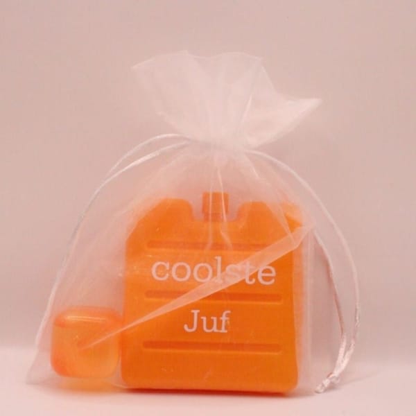 Bestel nu dit leuke koelelement met de tekst coolste juf, de tekst kun je naar wens aan passen kleur koelelement en ijsblokje zijn oranje