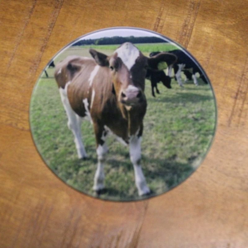 Bestel nu deze leuke glazen onderzetters die je kunt laten bedrukken met een foto of eigen ontwerp