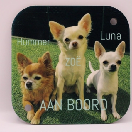 autobordje met een foto van hondjes en de tekst hummer, Zoë en Luna aan boord-de achterkant van het bordje is bruin, inclusief 2 zuignappen