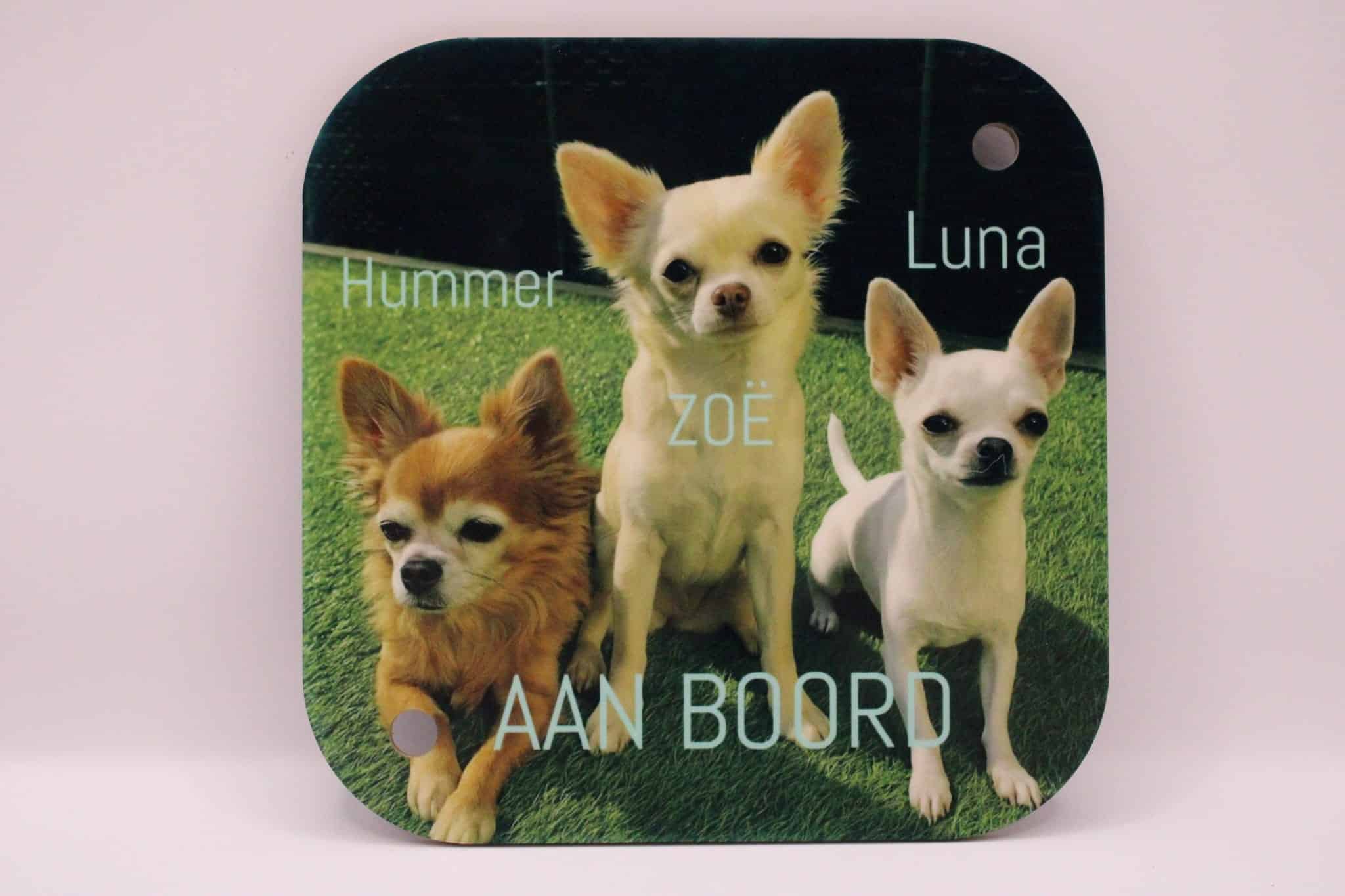 autobordje met een foto van hondjes en de tekst hummer, Zoë en Luna aan boord-de achterkant van het bordje is bruin, inclusief 2 zuignappen